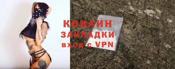 спайс Арсеньев