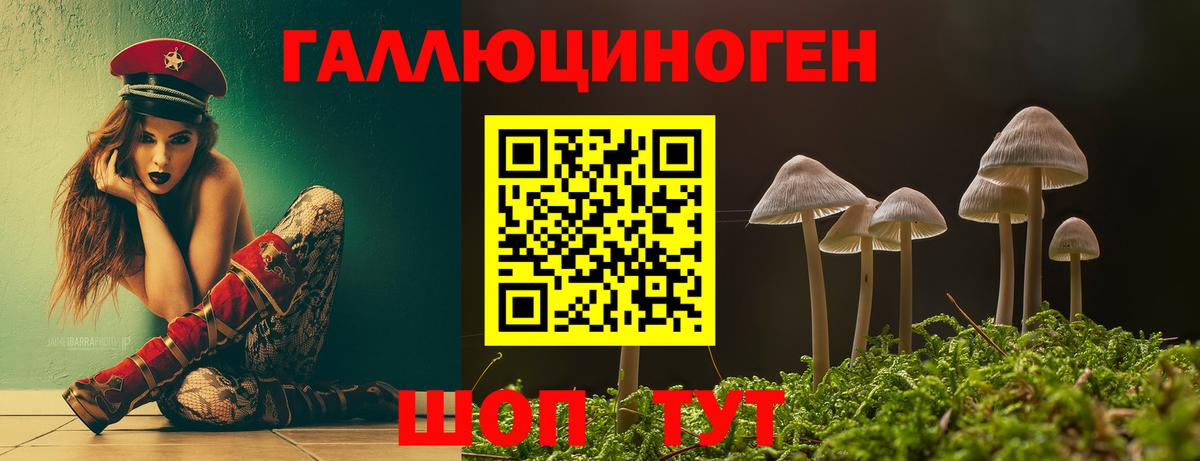 Кувандык  Псилоцибиновые грибы ЛСД  Вход с VPN 