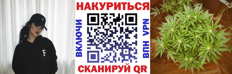 Бошки марихуана THC 21%  купить  цена  OMG   Кувандык 